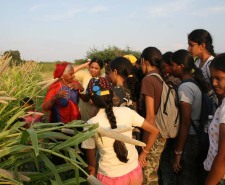 IMG_1736 - Copy